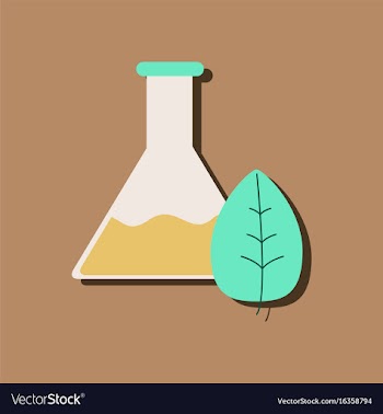 Flat icon design collection lab flask with leaf vector image