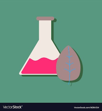 Flat icon design collection lab flask with leaf vector image