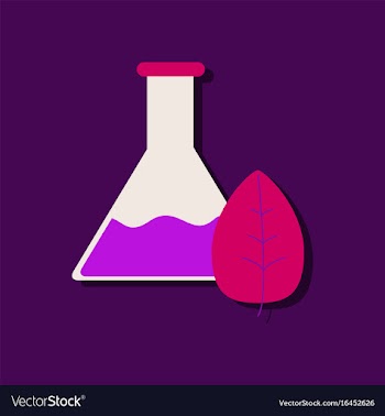 Flat icon design collection lab flask with leaf vector image