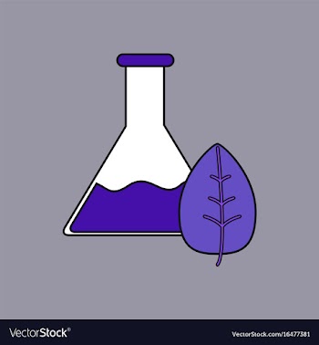 Flat icon design collection lab flask with leaf vector image