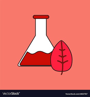 Flat icon design collection lab flask with leaf vector image