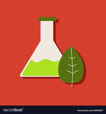 Flat icon design collection lab flask with leaf vector image