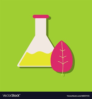 Flat icon design collection lab flask with leaf vector image