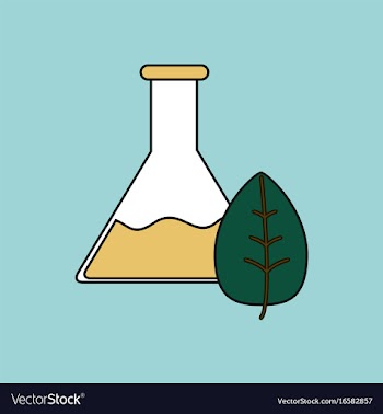 Flat icon design collection lab flask with leaf vector image