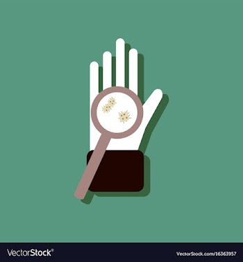 Flat icon design collection laboratory magnifier vector image