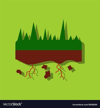 Flat icon design collection land roots in sticker vector image