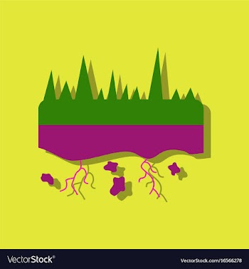 Flat icon design collection land roots in sticker vector image