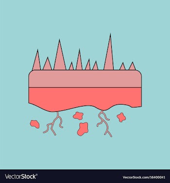 Flat icon design collection land roots vector image