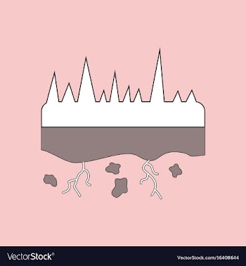 Flat icon design collection land roots vector image