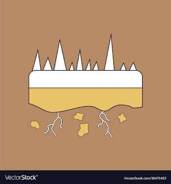 Flat icon design collection land roots vector image