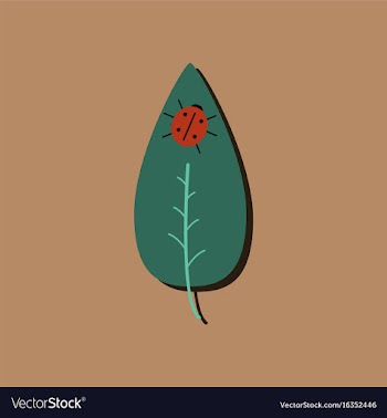 Flat icon design collection leaf and ladybug in vector image