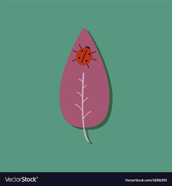 Flat icon design collection leaf and ladybug in vector image