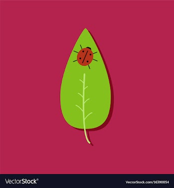 Flat icon design collection leaf and ladybug in vector image