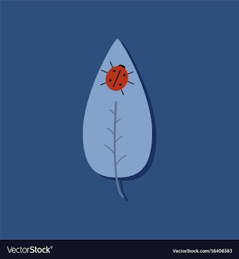 Flat icon design collection leaf and ladybug in vector image