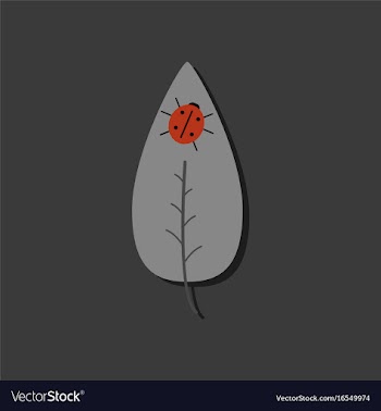 Flat icon design collection leaf and ladybug in vector image