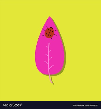 Flat icon design collection leaf and ladybug in vector image