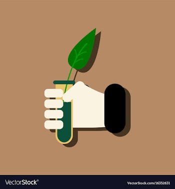 Flat icon design collection leaf in test tube in vector image
