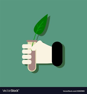 Flat icon design collection leaf in test tube in vector image