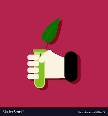 Flat icon design collection leaf in test tube in vector image