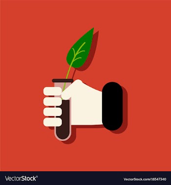 Flat icon design collection leaf in test tube in vector image