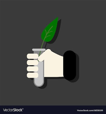 Flat icon design collection leaf in test tube in vector image