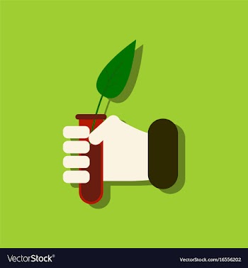 Flat icon design collection leaf in test tube in vector image