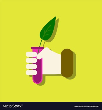 Flat icon design collection leaf in test tube in vector image