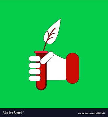 Flat icon design collection leaf in test tube vector image