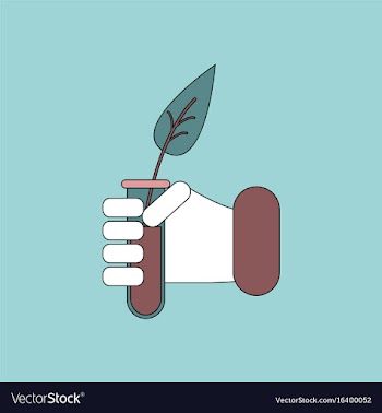 Flat icon design collection leaf in test tube vector image