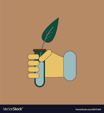 Flat icon design collection leaf in test tube vector image