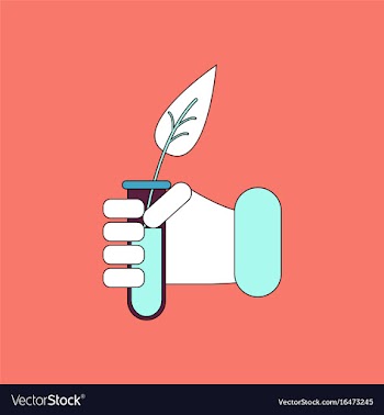 Flat icon design collection leaf in test tube vector image