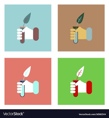 Flat icon design collection leaf in test tube vector image
