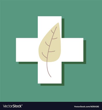 Flat icon design collection medical cross with vector image