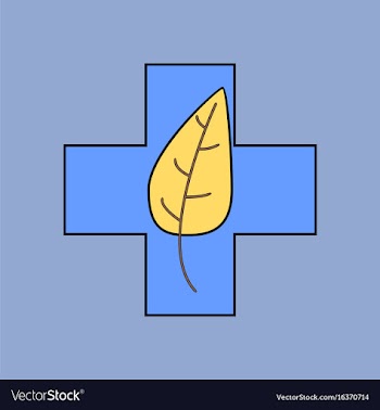 Flat icon design collection medical cross with vector image