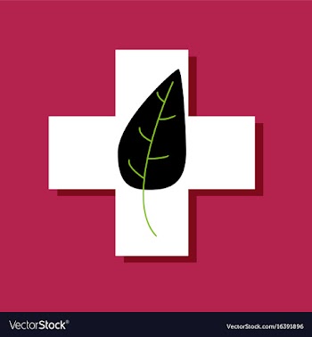 Flat icon design collection medical cross with vector image