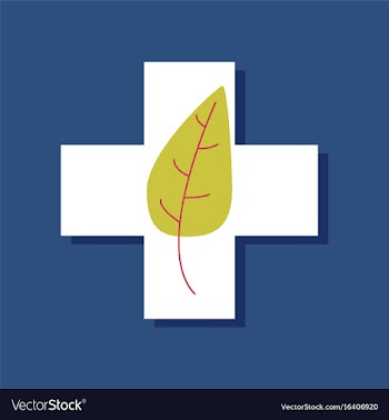 Flat icon design collection medical cross with vector image