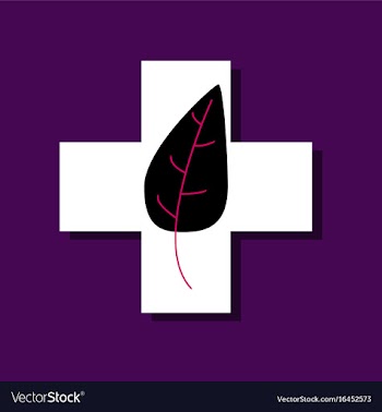 Flat icon design collection medical cross with vector image