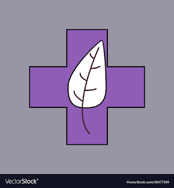 Flat icon design collection medical cross with vector image