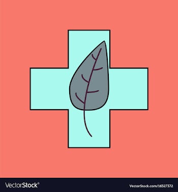 Flat icon design collection medical cross with vector image