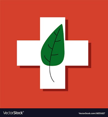 Flat icon design collection medical cross with vector image