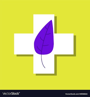 Flat icon design collection medical cross with vector image
