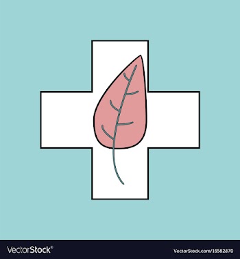 Flat icon design collection medical cross with vector image