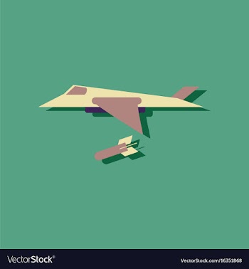 Flat icon design collection military jet fighter vector image