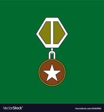 Flat icon design collection military medal vector image