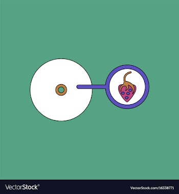 Flat icon design collection music plate and vector image
