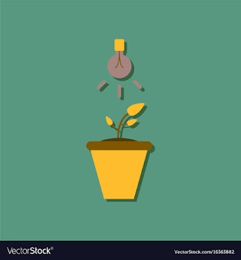 Flat icon design collection plant and light in vector image