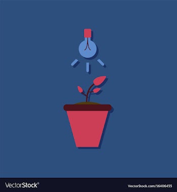 Flat icon design collection plant and light in vector image