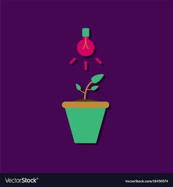 Flat icon design collection plant and light in vector image