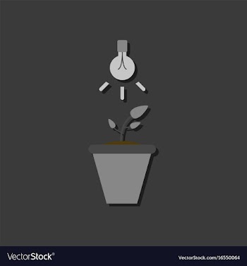 Flat icon design collection plant and light in vector image