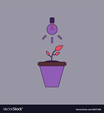 Flat icon design collection plant and light vector image